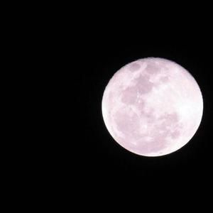 Meet your Posher, Leobardo arturo